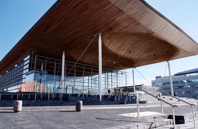 Senedd election