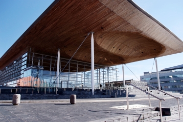 Senedd election